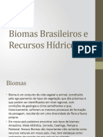 Biomas Brasileiros e Recursos Hídricos