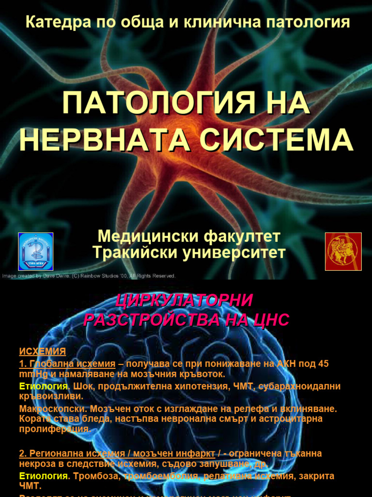 NEUROPATHOLOGY | PDF