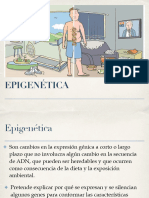 Epigenética