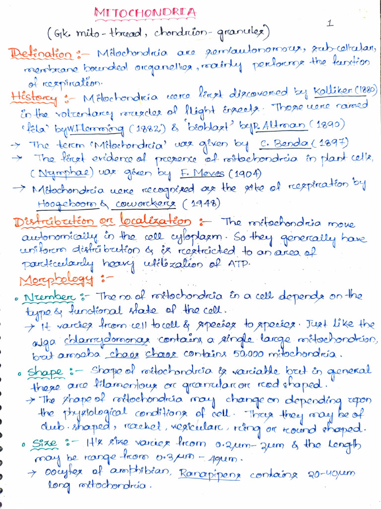 ANIMAL CELL ORGANELLES PDF visual data 4