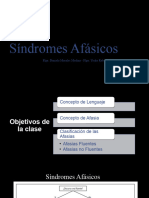  Sindromes Afásicos