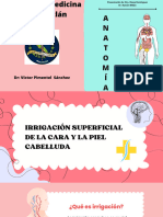 Irrigacion Superficial de Cara y Piel Cabelluda