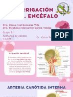 Expo Anatomia Encefalo - 20240208 - 071326 - 0000