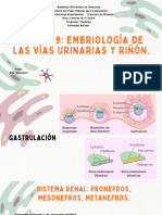 Presentación Proyecto Científico Doodle Ilustrado Verde y Rosa