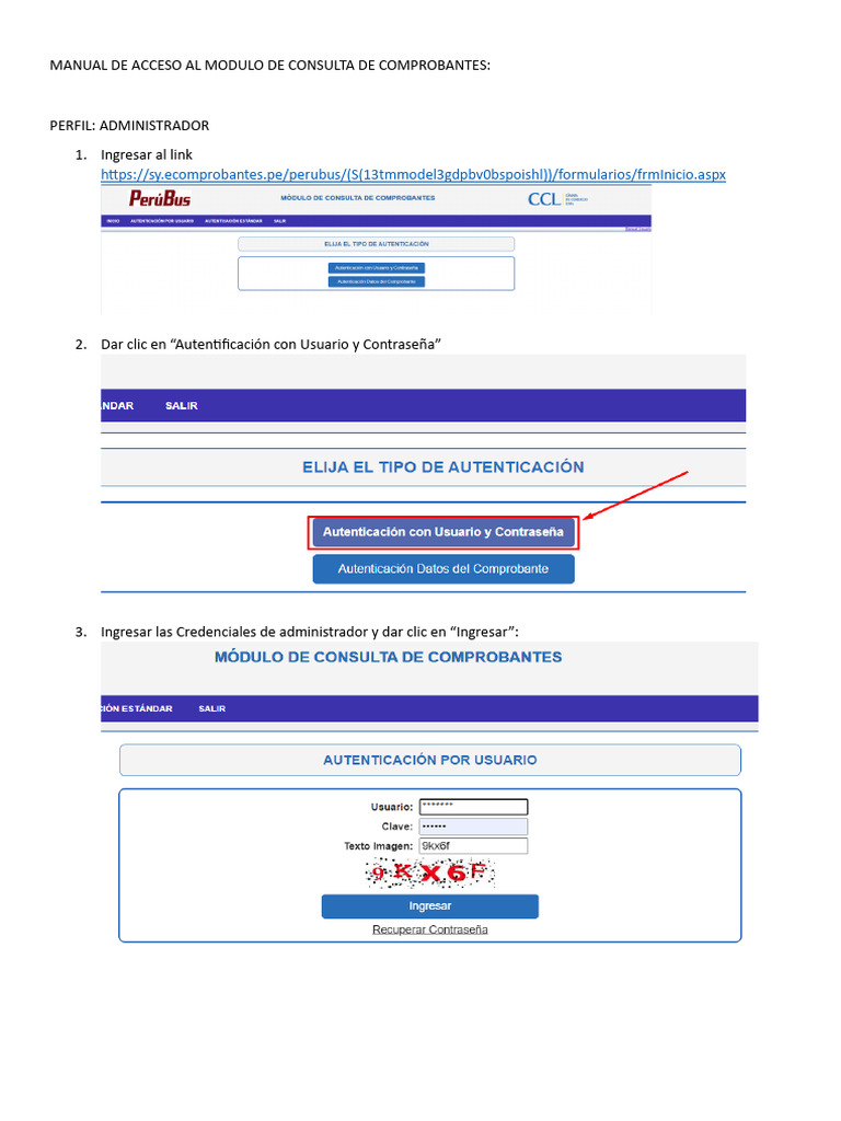 Manual de acceso al modulo de consulta de comprobantes administrador