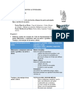 Actividad 2 de Lección 2 Página 84