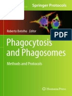 Ensayos para Fagocitosis