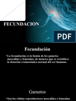 FECUNDACION