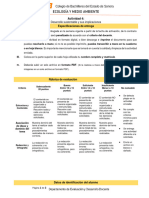 P2-EYMA-ACTIVIDAD 4 - Desarrollo Sustentable y Sus Implicaciones