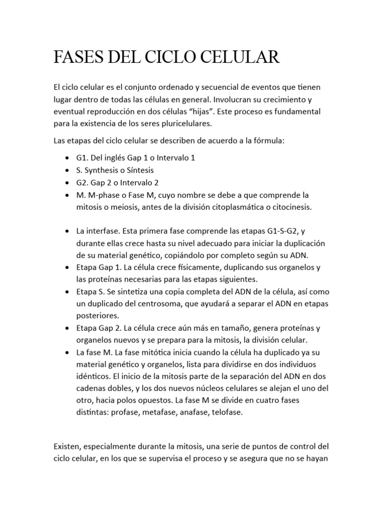 Fases del Ciclo Celular y Control | PDF | Mitosis | Ciclo celular