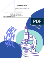 Lab Report 5