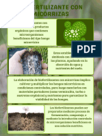 Micorrizas Trabajo de Biofertilizantes