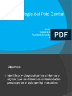 Semiologia Del Polo Genital DR Godoy