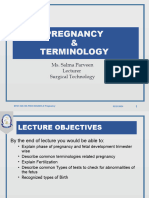 Pregnancy process