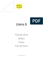 Litera G (1)