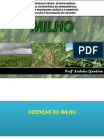 Doenças do milho: agentes causais, sintomas e controle