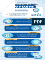 Infografía Reproducción Celular Mitosis y Meiosis