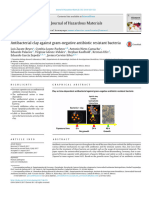 Antibacterial Clay Against Gram Negative Antibiotic Resistant Bacteria