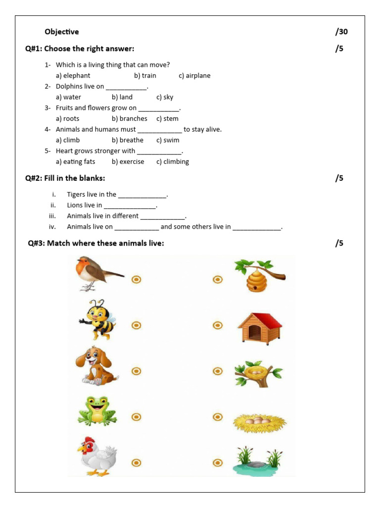Science Grade 2 Mid Term Paper | PDF | Plants | Germination