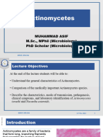 Actinomycetes (14-10-2023)