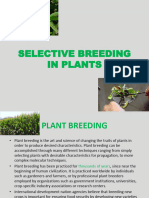 Selective Breeding in Plants