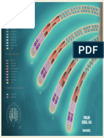 Palm Jebel Ali Masterplan