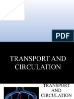 Transport and Circulation