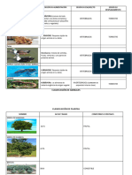 Clasificación de Plantas y Animales Job