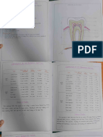 Dental Anatomy Fair Record