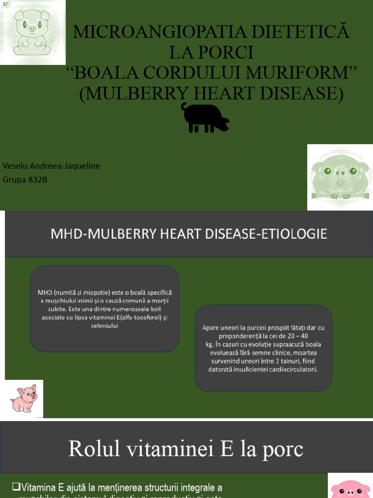 Boala Cordului Muriform | PDF