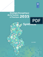 Synthèse - Stratégie - Tunisie 2035