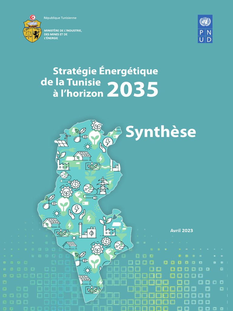 Stratégie énergétique de la Tunisie 2035 | PDF | Décarbonation ...