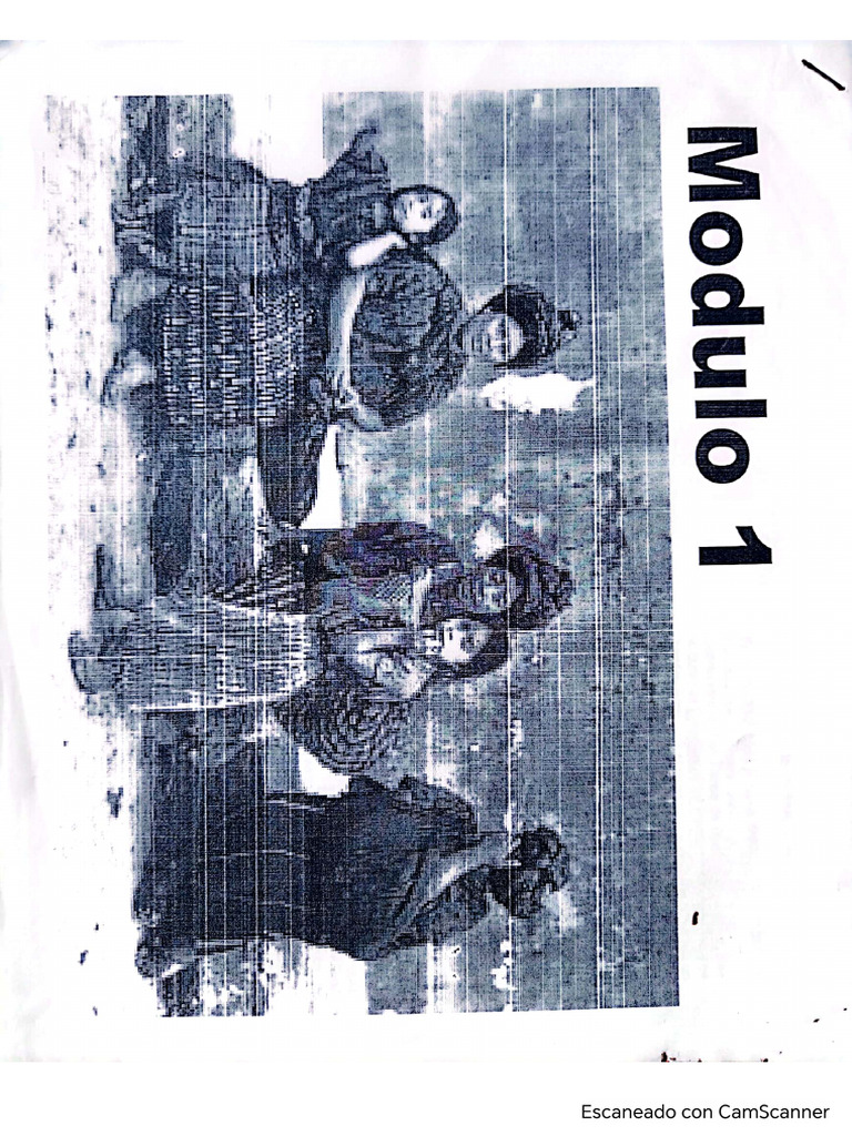 Mdulo 1 y 2 | PDF