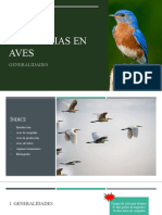 Trabajo Neoplasias en Aves