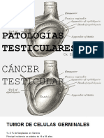 Patologías Testiculares