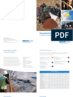 B-1114print Essential Expertise Mining PDF