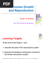 Reproductive System