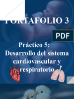 Portafolio