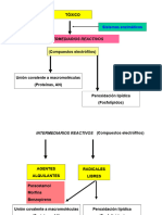 Neración Intermediarios Reactivos