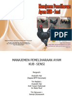 Manajemen Pemeliharaan Ayam KUB - Sensi