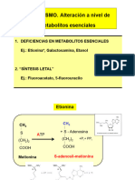 Mecanismo - Metabolitos Esenciales