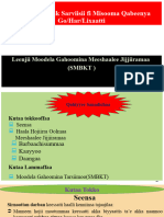 Maturity Model SMBKTPPT