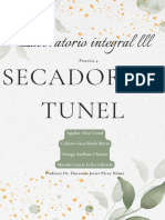 P4. Secador en Tunel de Viento