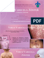 Virus Varicela Zóster - Villarnobo Marcial Lizbeth D-05