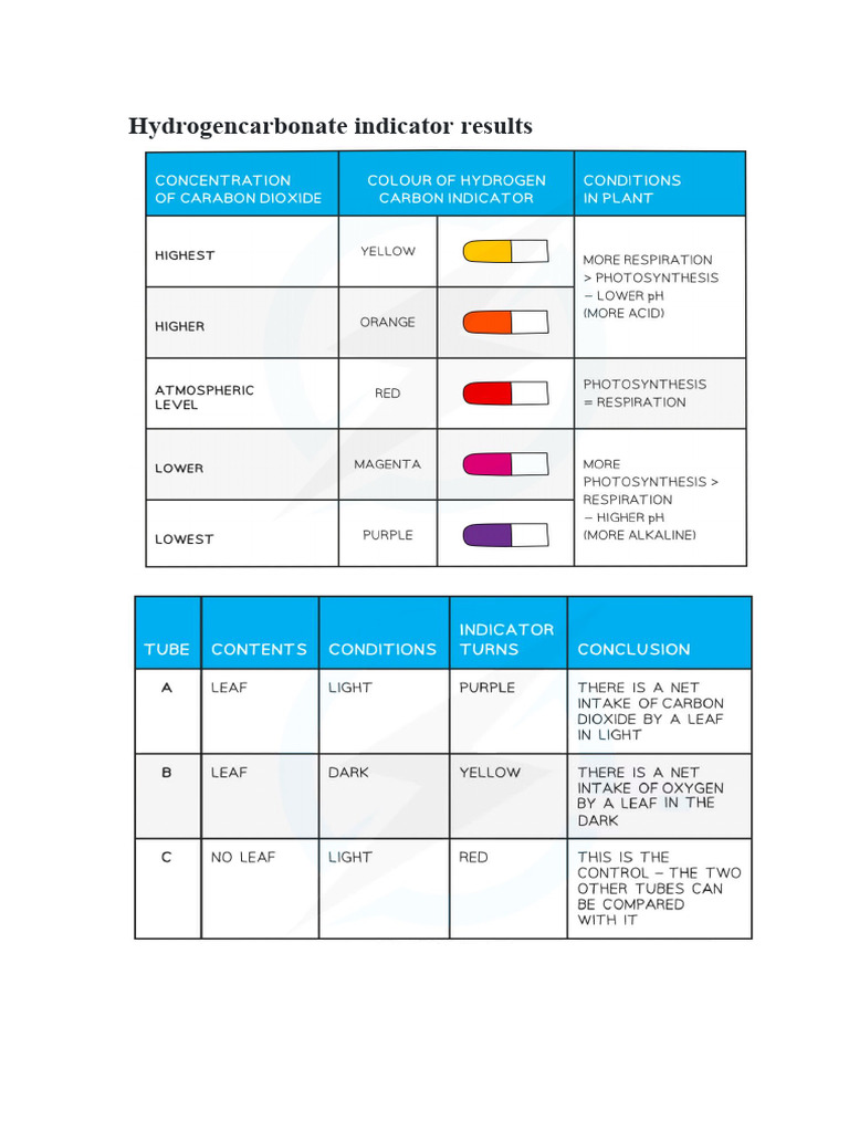 Hydrogencarbonate Indicator Results PDF