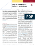 The Role of Autophagy in Skin Fibroblasts, Keratinocytes, Melanocytes, and Epidermal Stem Cells