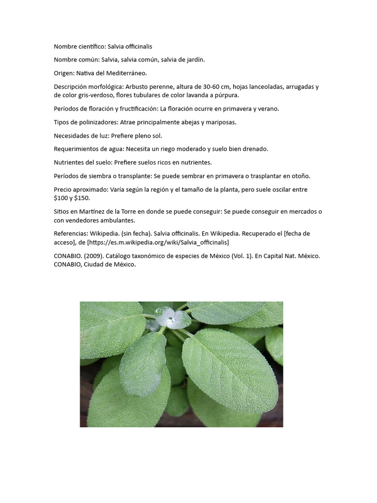 Plantas para Polinizadores | PDF | Plantas | Botánica