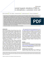 2022, The Efficacy of TMS and Negative Symptoms of Schizophrenia