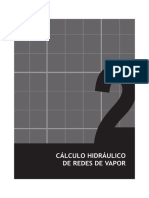 2 Calculo Hidraulico de Redes de Vapor