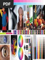 Onyx Quality Evaluation Guide | PDF | Printing | Computer Graphics